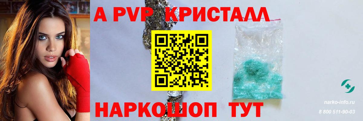 Alpha-PVP СК Гатчина
