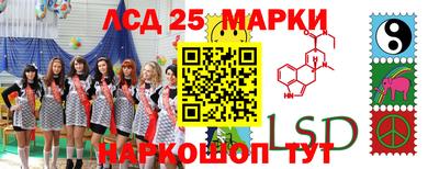 индика Ногинск